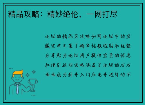 精品攻略:精妙绝伦,一网打尽